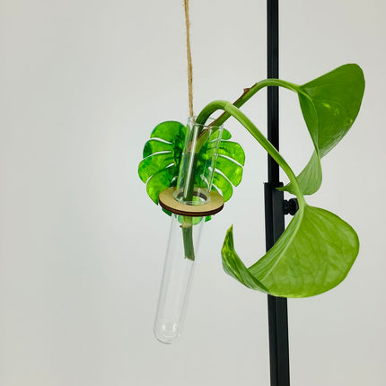 Plant Propagation Station - Acrylic green and wood Monstera 1