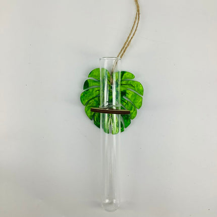 Plant Propagation Station - Acrylic green and wood Monstera 1