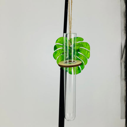 Plant Propagation Station - Acrylic green and wood Monstera 1