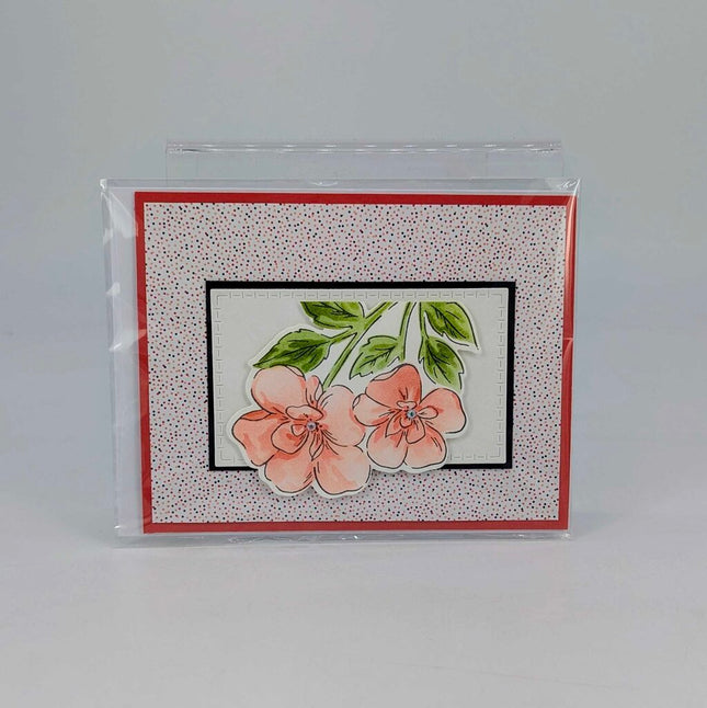 Thankful Garden Poppy Parade