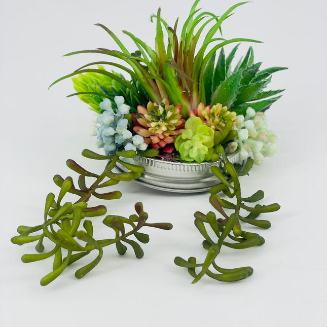 19.50 Succulent lid 2