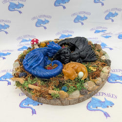 Clan of Dragons - view 1