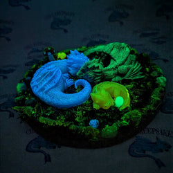Clan of Dragons - view 2