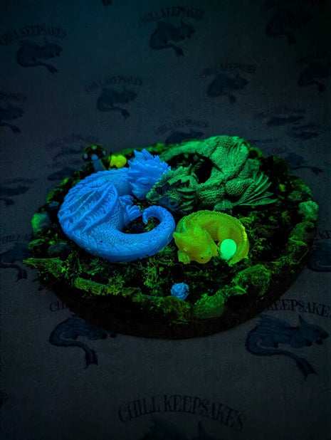 Clan of Dragons