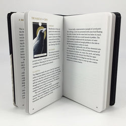 The Avian Tarot (Book Only) - view 5