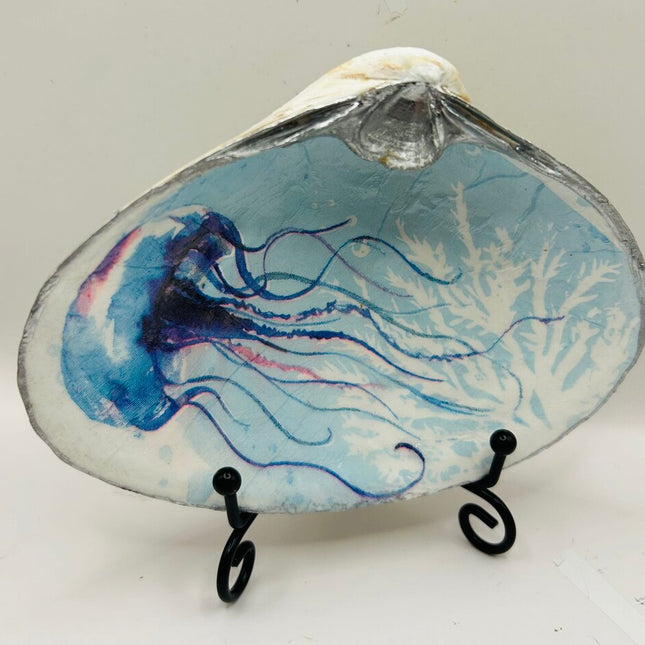 JellyFish XXL Clam from Hull MA