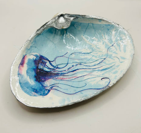 JellyFish XXL Clam from Hull MA