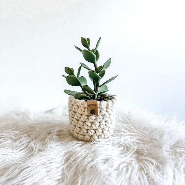 Faux Potted Succulent in Crochet Plant Cozy GROW Tag (Style D)