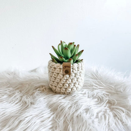 Faux Potted Succulent in Crochet Plant Cozy Script GROW Tag (Style E)