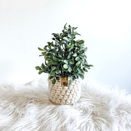 Faux Potted Herb in Crochet Plant Cozy GROW Tag (Style A)