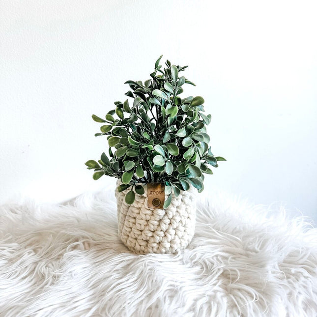 Faux Potted Herb in Crochet Plant Cozy GROW Tag (Style A)