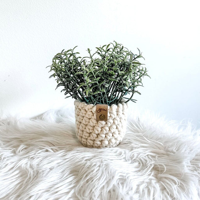 Faux Potted Herb in Crochet Plant Cozy Script GROW Tag (Style C)