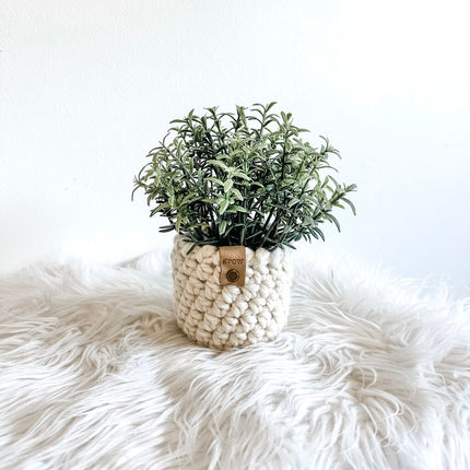 Faux Potted Herb in Crochet Plant Cozy GROW Tag (Style C)