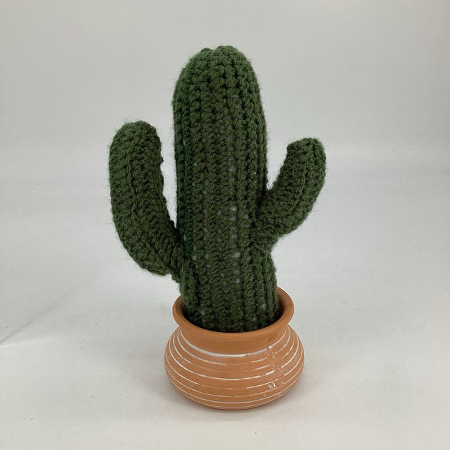 Saguaro Cactus #2
