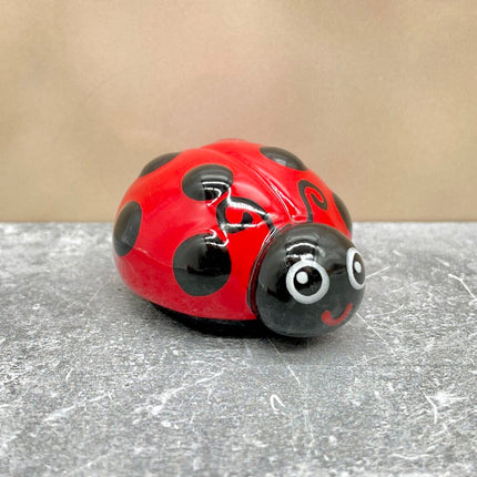 Ladybug Friend