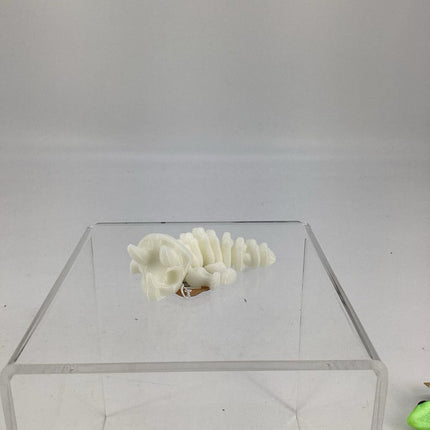 MINI TRICERATOPS FOSSIL (AJF)