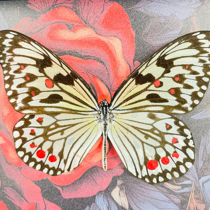 Red rose butterfly frame