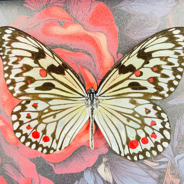 Red rose butterfly frame