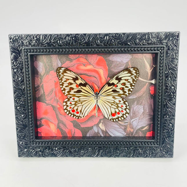 Red rose butterfly frame