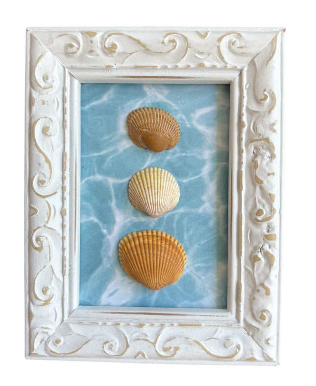 Small shells, water background