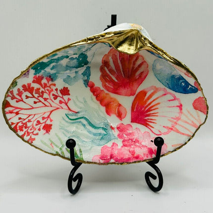 Colorful Shells & Coral Clam Dish from Salisbury, MA