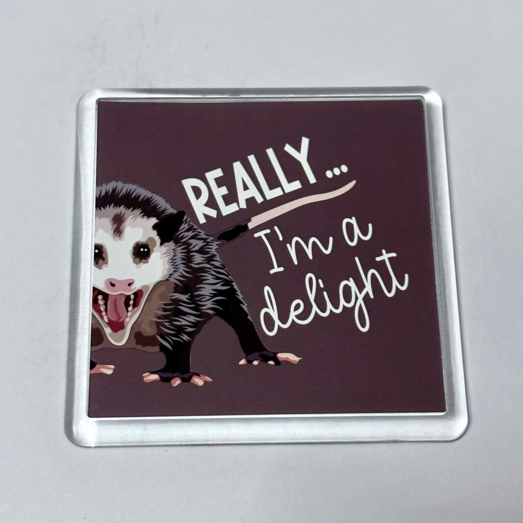 REALLY IM A DELIGHT MAGNET