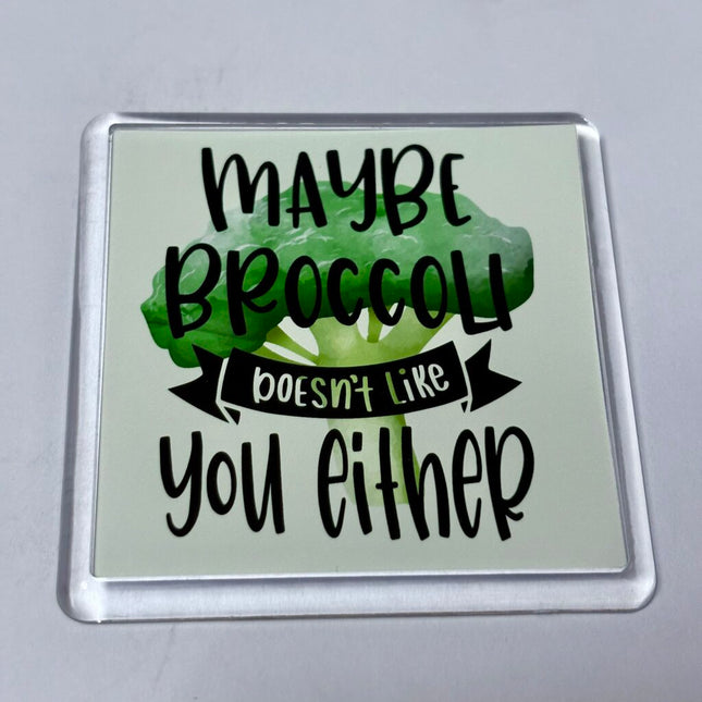 HATE BROCCOLI MAGNET