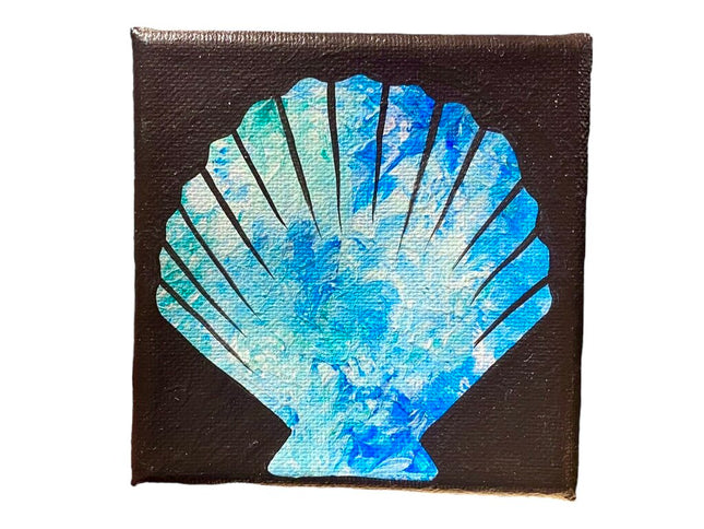 See Through Sea Shell