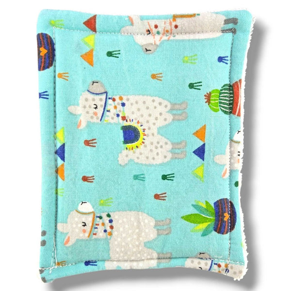 Washable Sponge
