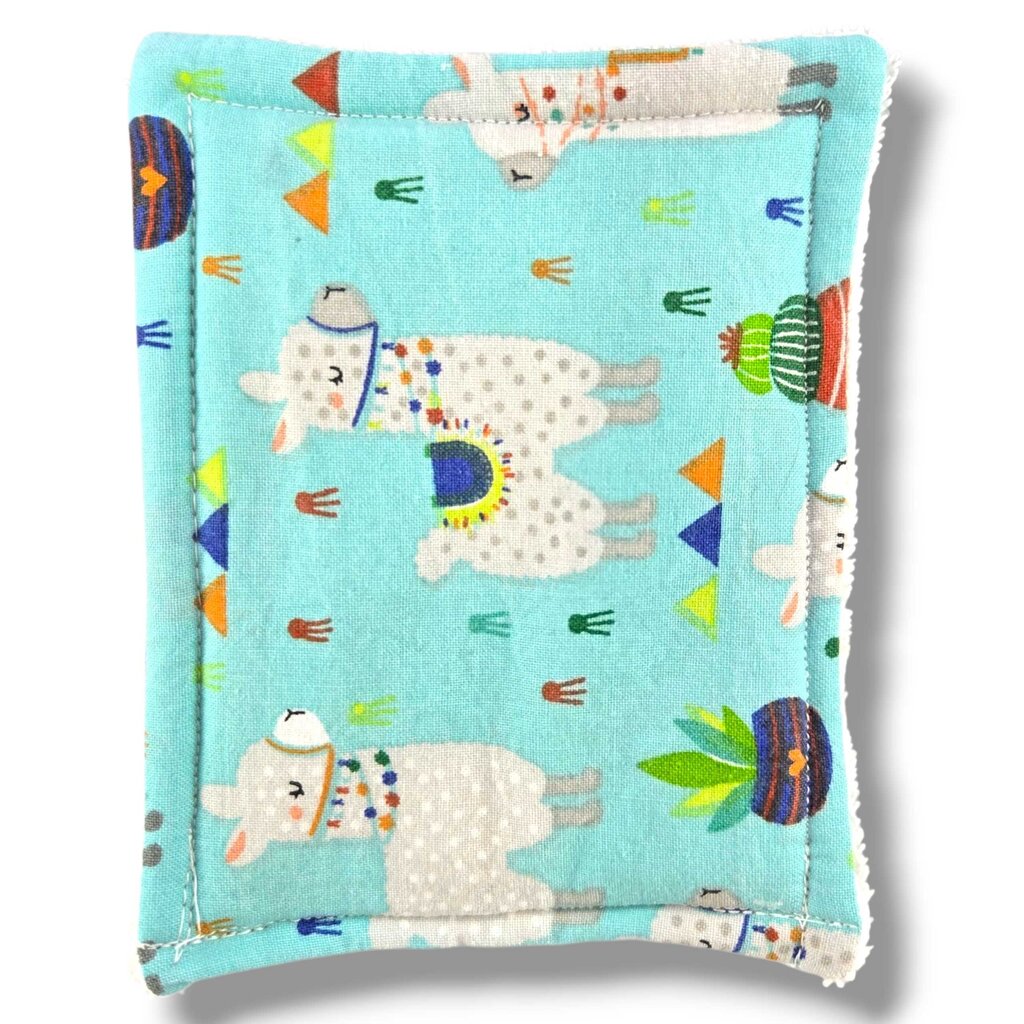 Washable Sponge