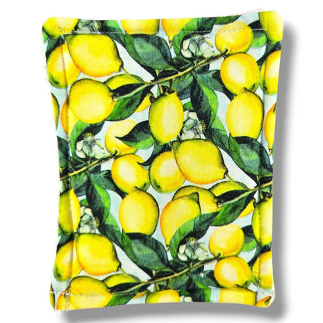 Washable Sponge