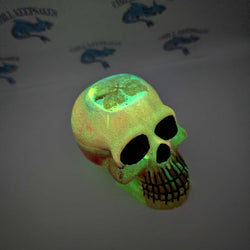 Skull - view 2