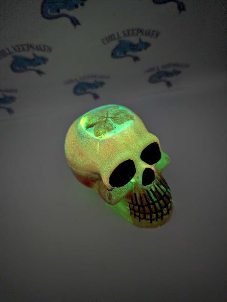 Skull
