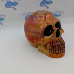 Skull - view 1