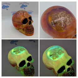 Skull - view 3