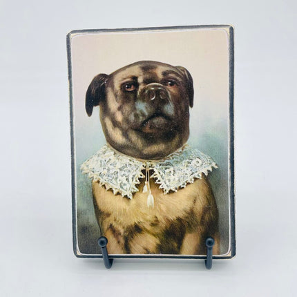 Vintage dog portrait 5x7