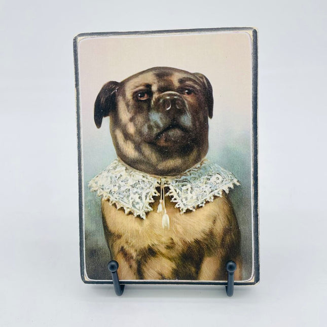 Vintage dog portrait 5x7