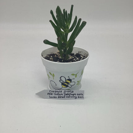 Small white w/ bumble bee-F