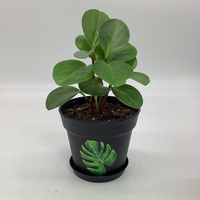 Medium Black w/monstera leaf-F
