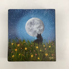 Blue night sky with black cat