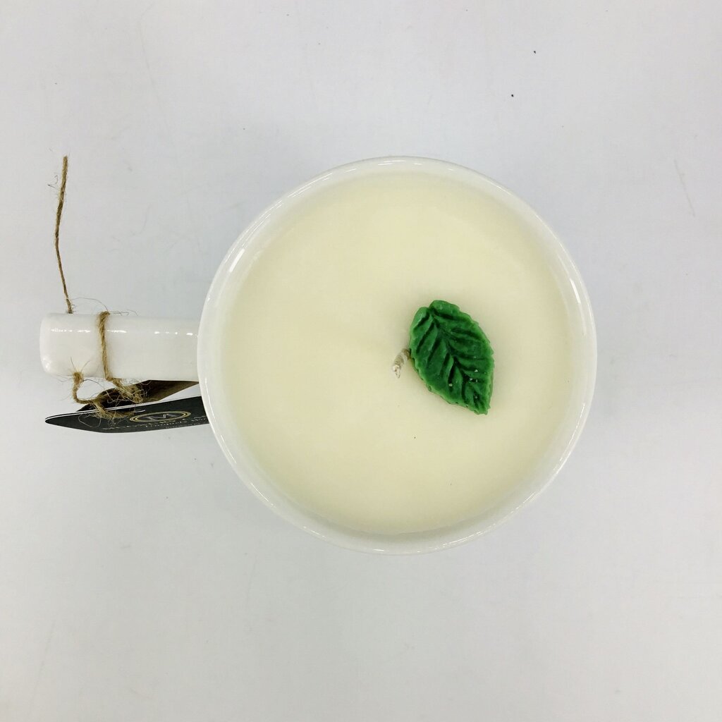 White Chocolate Mint (Blue Green Porcelain Mug) - Mug Candle - 100% Soy Wax