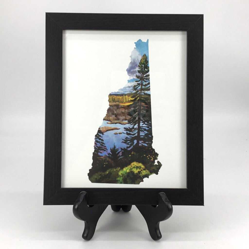 New Hampshire IV - Fall Marsh 8x10 Art Print FRAMED