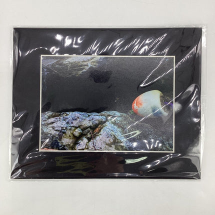 Buoy in Rocks 8x10 Matted Print