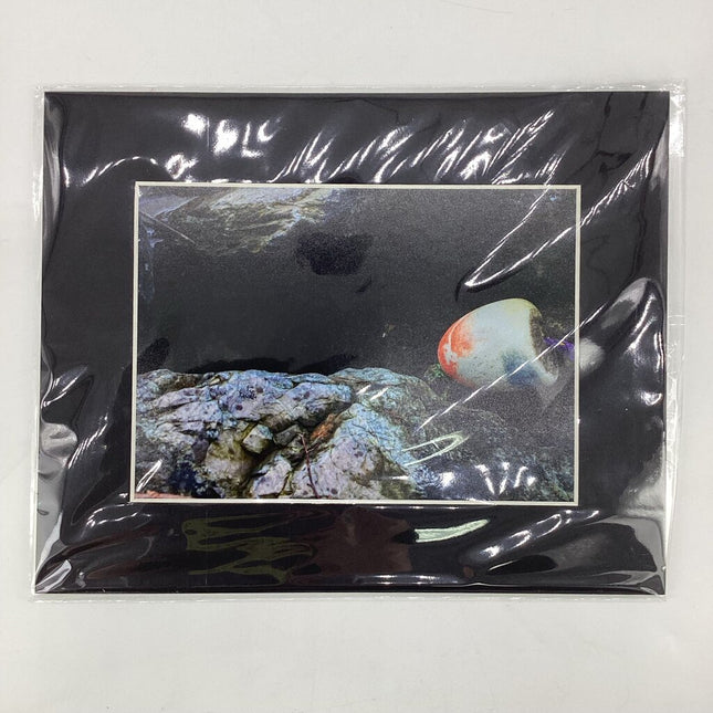 Buoy in Rocks 8x10 Matted Print