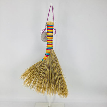 Turkey Wing Whisk Broom, rainbow ombre, MT12