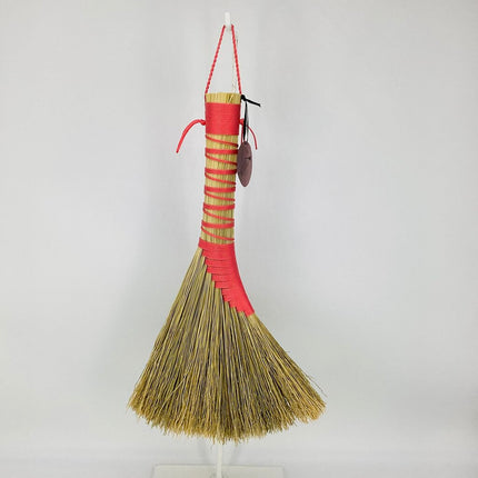 Turkey Wing Whisk Broom, pink, LT619