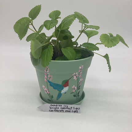 Large sage w/hummingbird-F