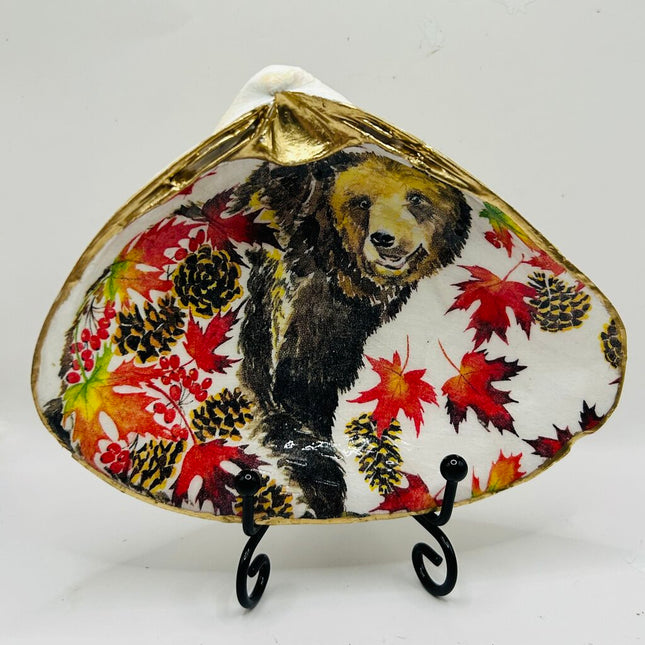 Autumn Bear XL Clam (Acadia, Canada)