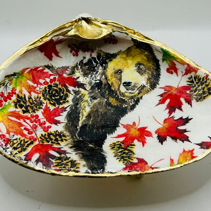 Autumn Bear XL Clam (Acadia, Canada)