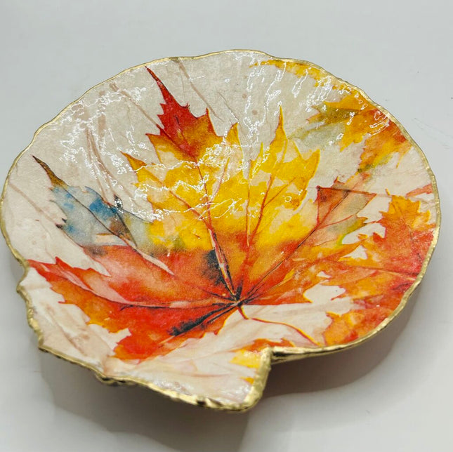 Autumn Leaves Deep Sea Scallop (Booth Bay Harbor, ME)